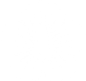 대한국 내각총리대신 백색 휘장.png