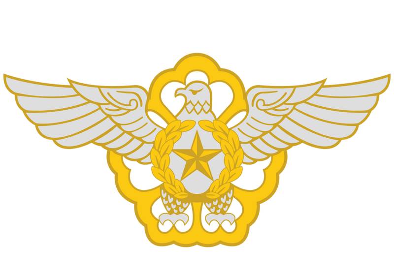 파일:공군참모총장 휘장.png