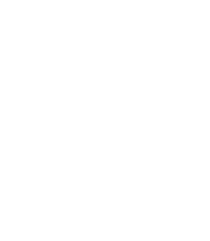 미국 국회 CI.png