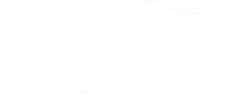 파일:이슬람 민주당 백.png