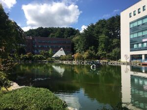 강릉원주대 강릉캠.jpg