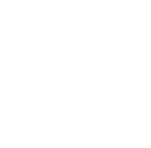 실레골로도 휘장 .png