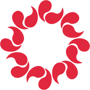 아나 평양 문장.png