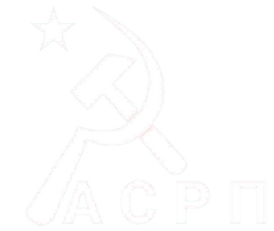 아무르 사혁당 백.png