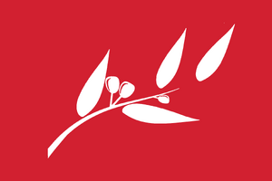 Kingdom of Couqueda's flag.png