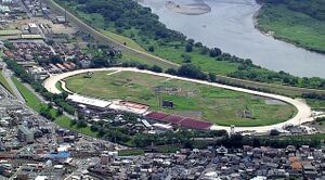 대홍단 경마장 (한나라).jpg