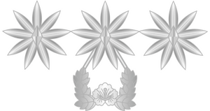 대령 계급장.png