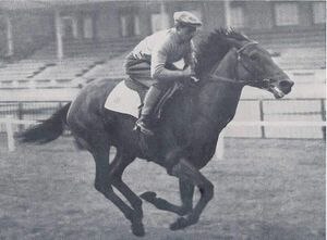 알프스 보이 (한나라).jpg