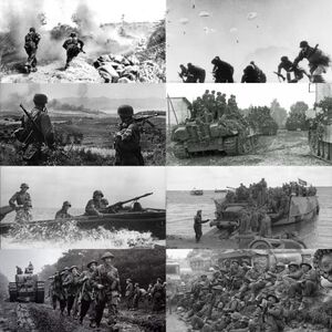 바다사자 좋아 빠르게 가!.jpg