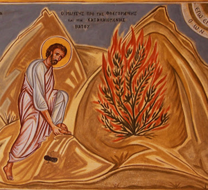 불타는 떨기나무.png