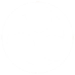 제주도 화이트 휘장 (굳세어라 금순아).png