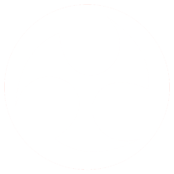 파일:제주도 화이트 휘장 (굳세어라 금순아).png