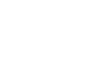 일본의 미래당 로고 반전.png