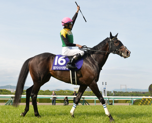 잼지사사랑해 (한나라).png