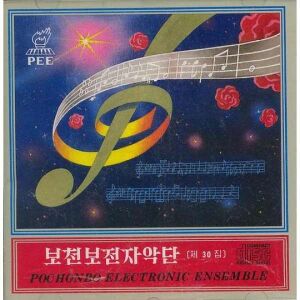 보천보전자악단 30집.jpg
