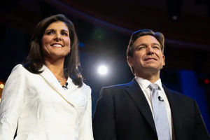 헤일리 드산티스.webp