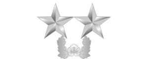 대한민국 국군 부장 계급장 (개화).png