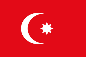 KG OTT FLAG.png