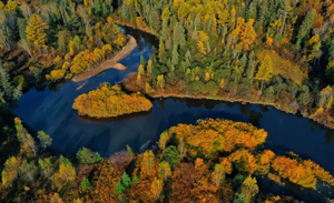 만주 이춘 이춘강 (만주일몽).png