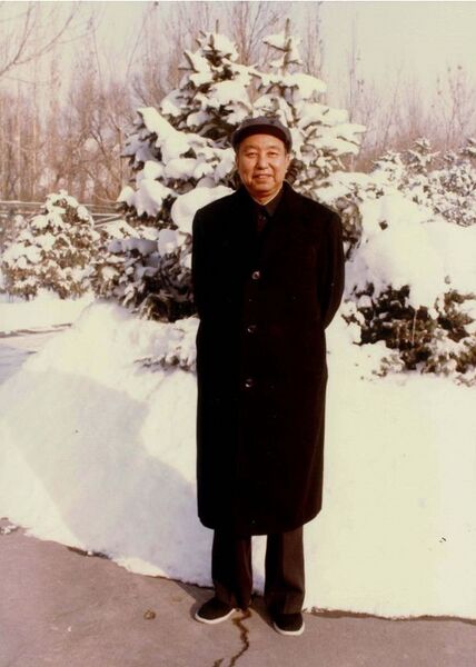 파일:눈 오는 날의 화궈펑.jpg