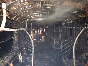 뉴욕 지하철 테러.jpg