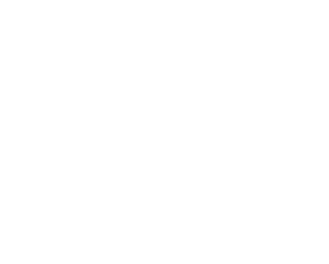 G민주당 화이트.png