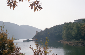 플로라 서흥호.png