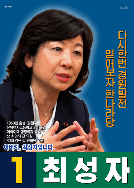 파일:제31대 총선 최성자 선거벽보 (한나라).png