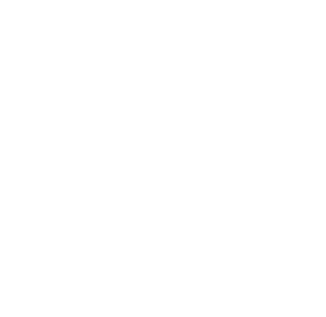 Project 81 평화통일가정당.png