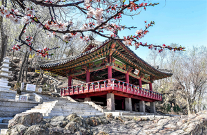 플로라 경암루.png