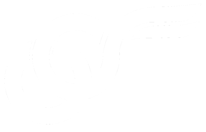 파일:구 민주국민당 흰색 아이콘.png