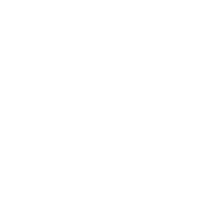 월본 국장 수호화문 흰색.png