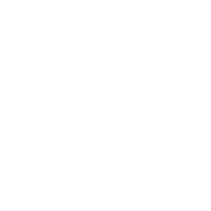 중화민국 백일.png