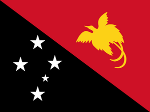 Flag of Papua New Guinea.png