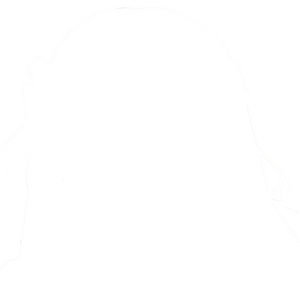 스즈미야 하루히 반전.png