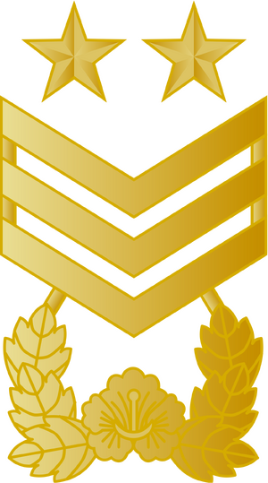 대한민국 국군 특교 계급장 (개화).png