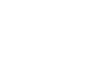 사회민주당 흰색 아이콘.png