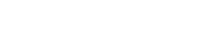 파일:일본의 미래당 로고 반전3.png