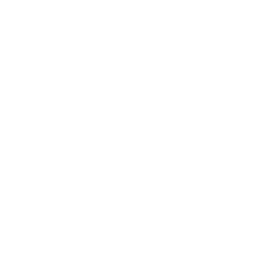 평양광역시 ci 흰색 (한나라).png