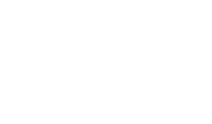 K자민당 화이트.png