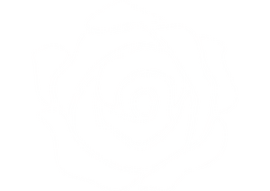 아무르 사회당 백.png