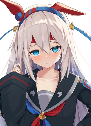 타마모 크로스 프로필 (개신).png