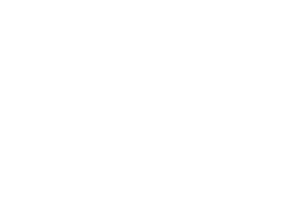 독일 국민민주당.png