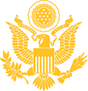 미국 국장 반전 노랑.png