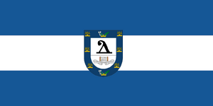 부의장 깃발.png