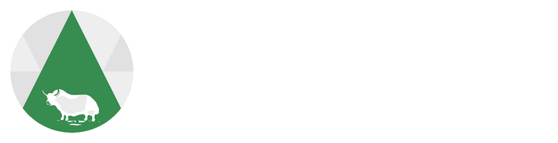 파일:티베트 입헌당 로고 반전.png