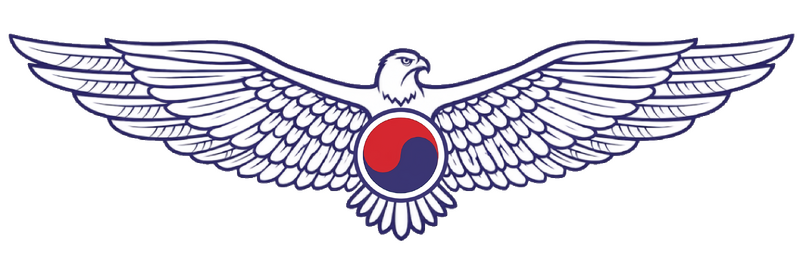 파일:대한제국 공군 상징 (플레이백).png