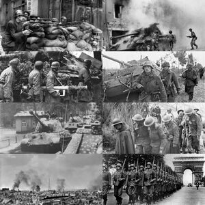 파리 고속도로 가보자고.jpg