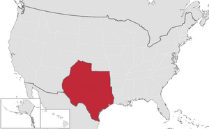 텍사스 위치.png