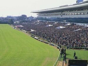 나카야마 경기장.jpg